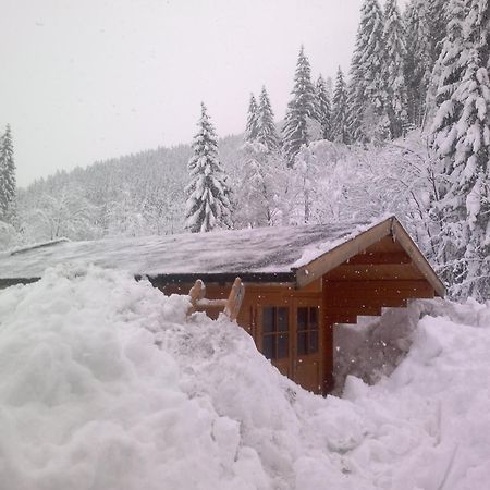 Appartement Schmittenblick Zell am See Zewnętrze zdjęcie