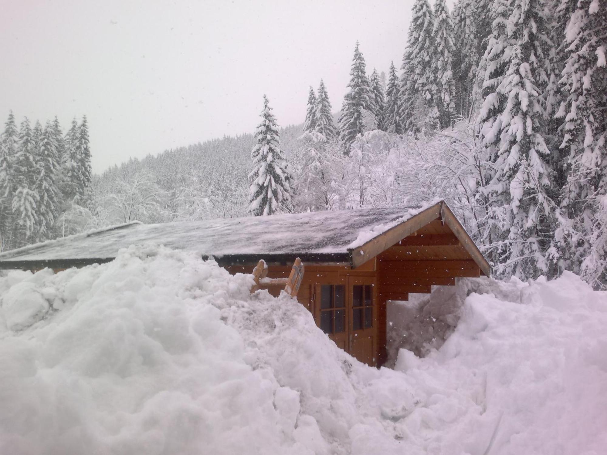 Appartement Schmittenblick Zell am See Zewnętrze zdjęcie