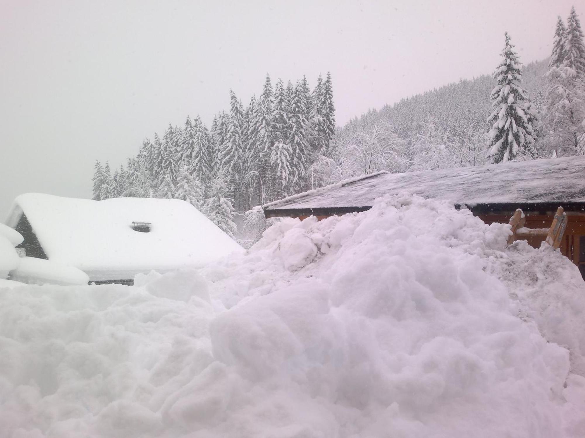 Appartement Schmittenblick Zell am See Zewnętrze zdjęcie